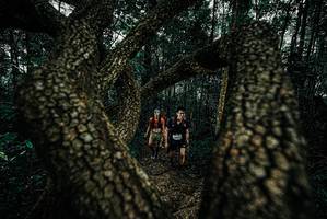 BIB: 
                            <button type="button" onclick="openModal(25678564)" class="btn btn-primary btn-sm float-right btn-popup" data-toggle="modal" data-target=".modal-high-quality">
                        <i class="fas fa-shopping-cart"></i> Add to Cart
                    </button>
                                            <button type="button" onclick="isThisMe(25678564, true)" class="btn btn-success btn-sm float-right btn-popup btn-isme hidden" data-toggle="tooltip" data-placement="bottom" title="นี่คือรูปของคุณใช่ไหม คลิกที่นี่เพื่อเอาเข้าอัลบั้ม">
                        <i class="fas fa-plus"></i> Add to album
                    </button>
                    <button type="button" onclick="isThisMe(25678564, false)" class="btn btn-warning btn-sm float-right btn-popup btn-isnotme hidden">
                        <i class="fas fa-ban"></i> Remove from album
                    </button>